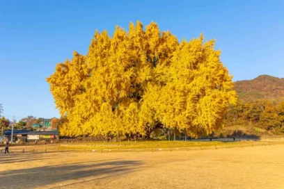 원주 원데이클래스 2026 봄 추천, 나만의 작품 만드는 명소 5곳