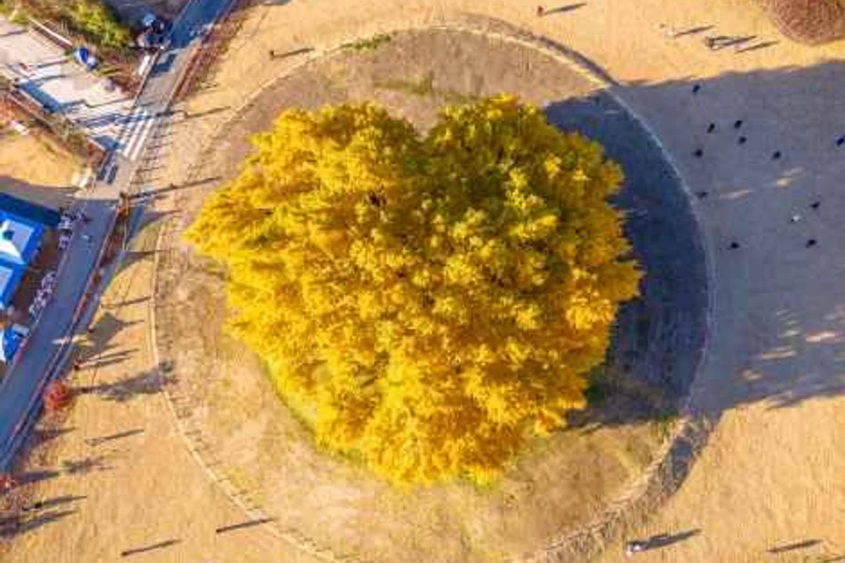 도자기빛나다 - 원주여행 여행
