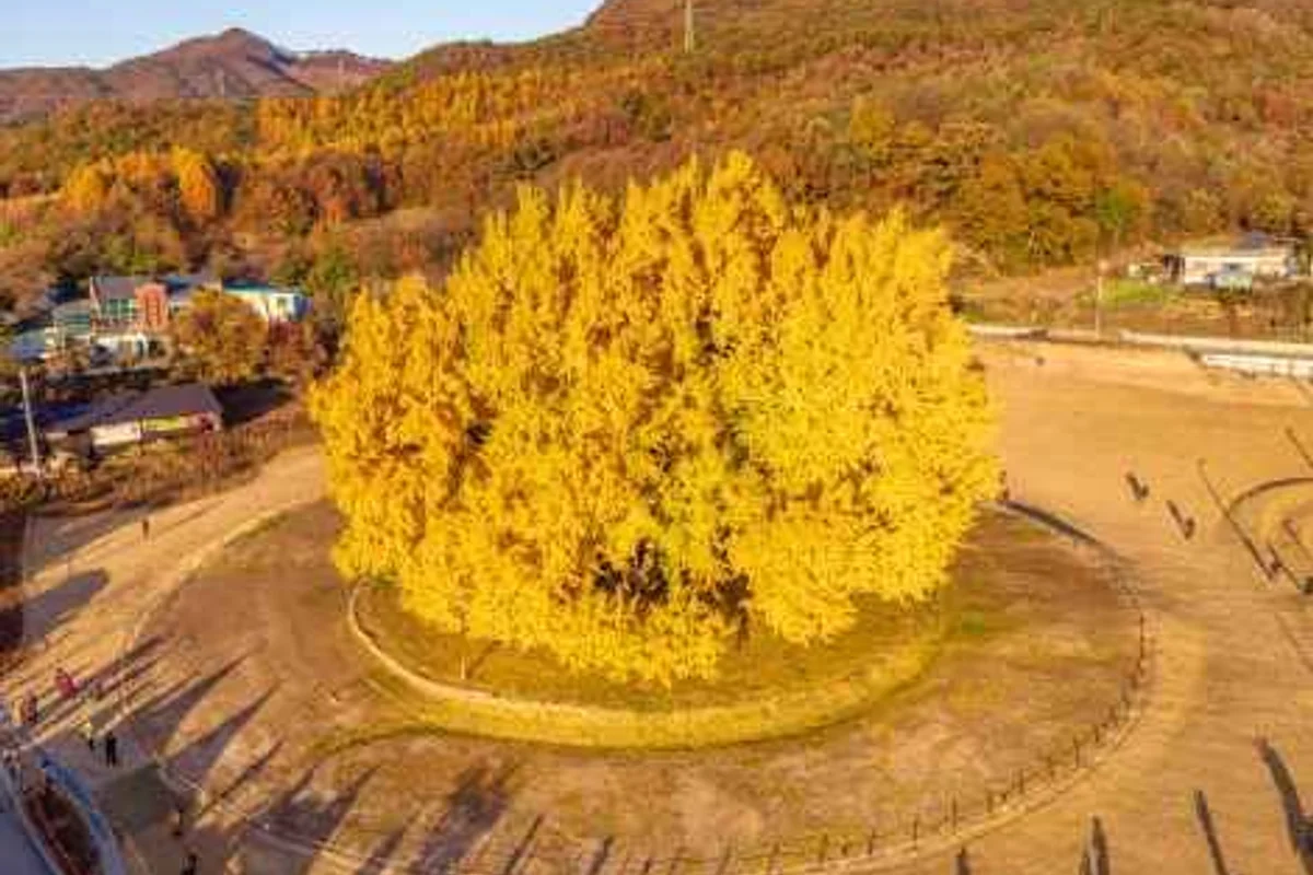 투애스터리스크 반지공방 - 원주여행 여행