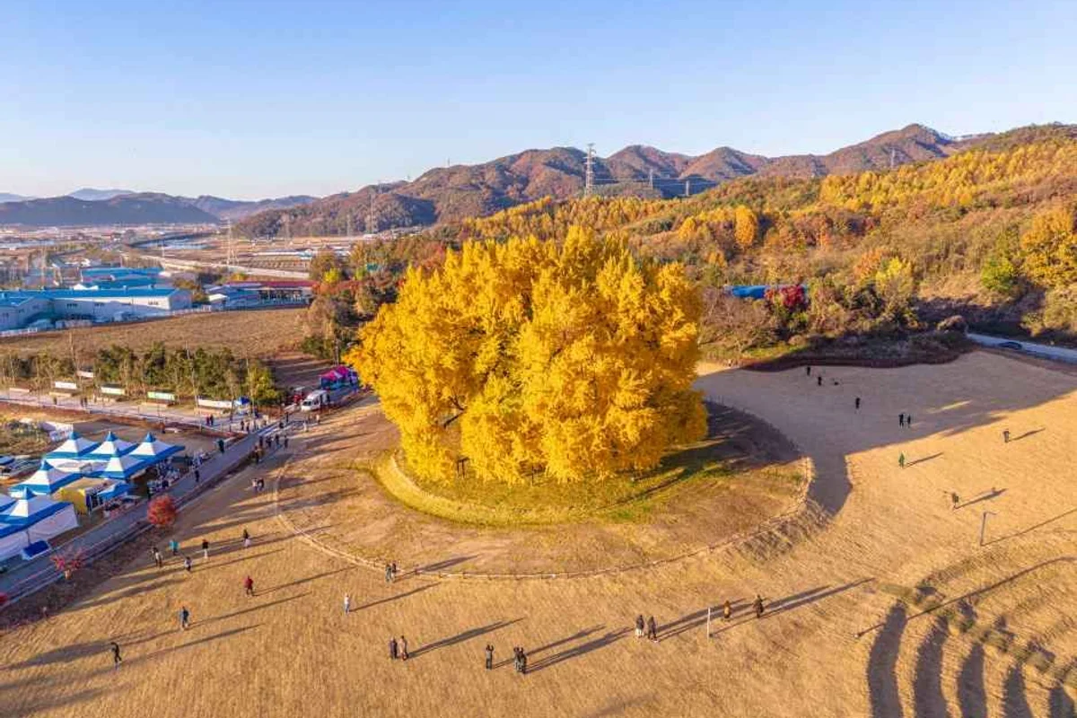 오빠딸기체험농장 - 원주여행 여행