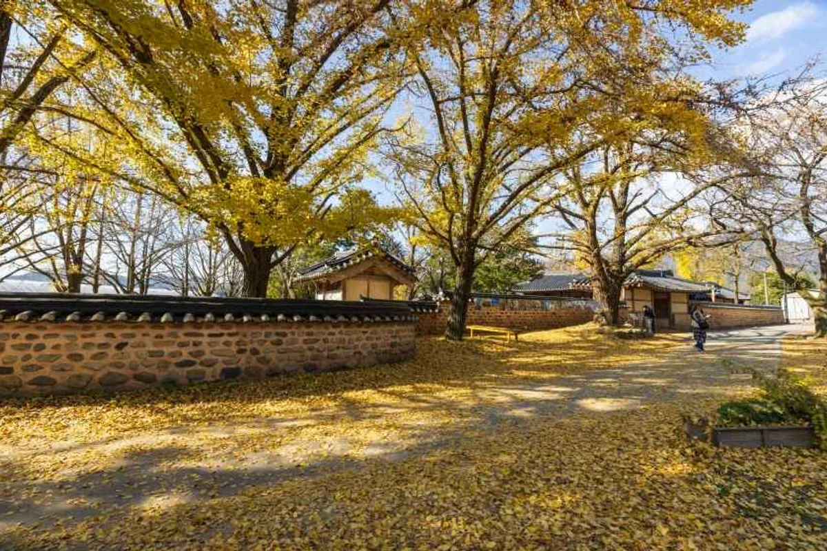 무창포해수욕장 - 보령여행 여행