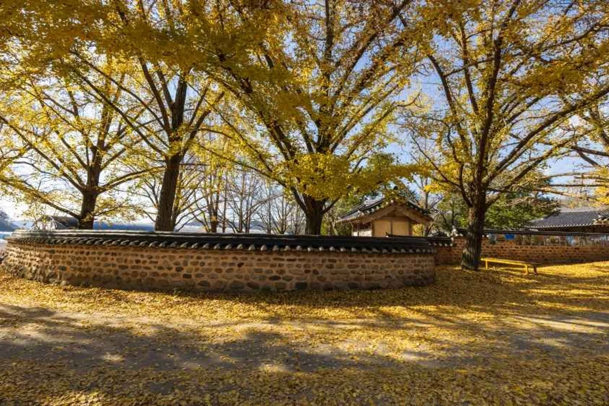 경인아라뱃길여객터미널아라타워 - 청라 여행