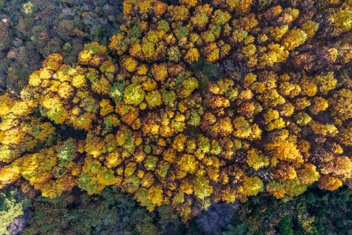 오서산 - 홍성군 여행
