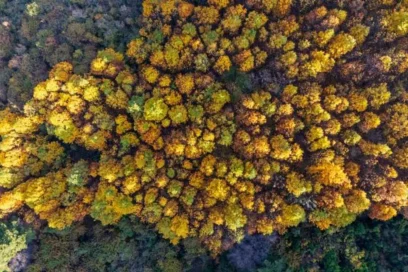보령 연말 여행, 2026년 겨울을 빛낼 명소 TOP 5 추천