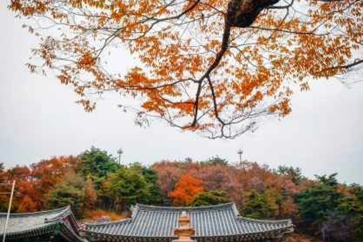 비암사 - 비암사 여행