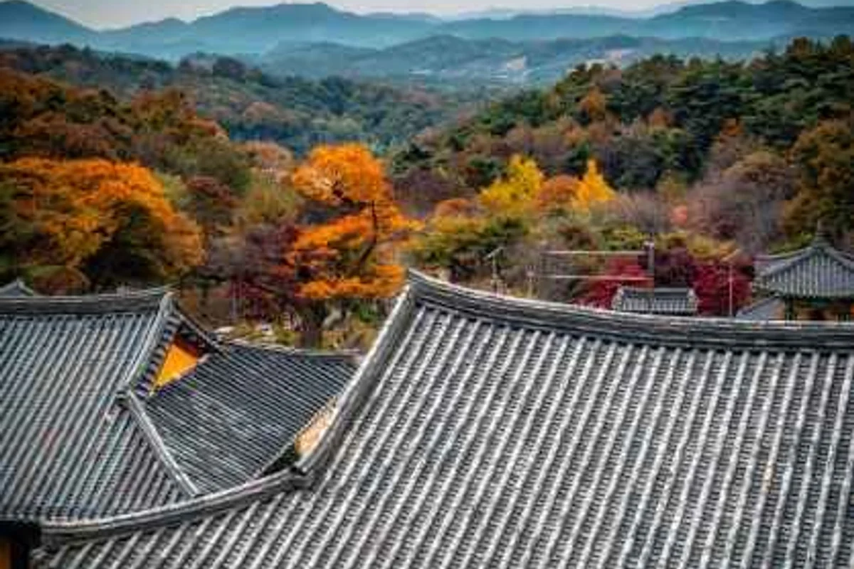 아시오 치유요가명상원 - 비암사 여행