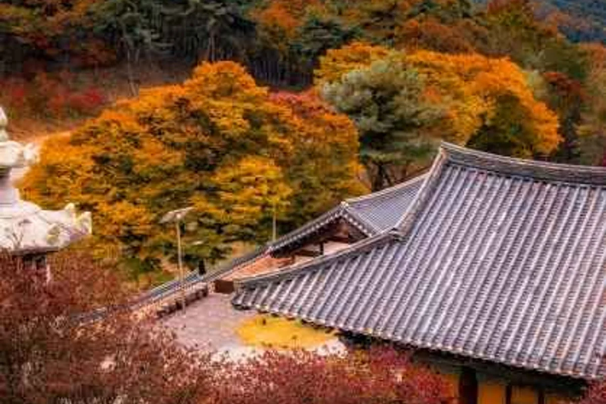 포도나무정원 - 비암사 여행