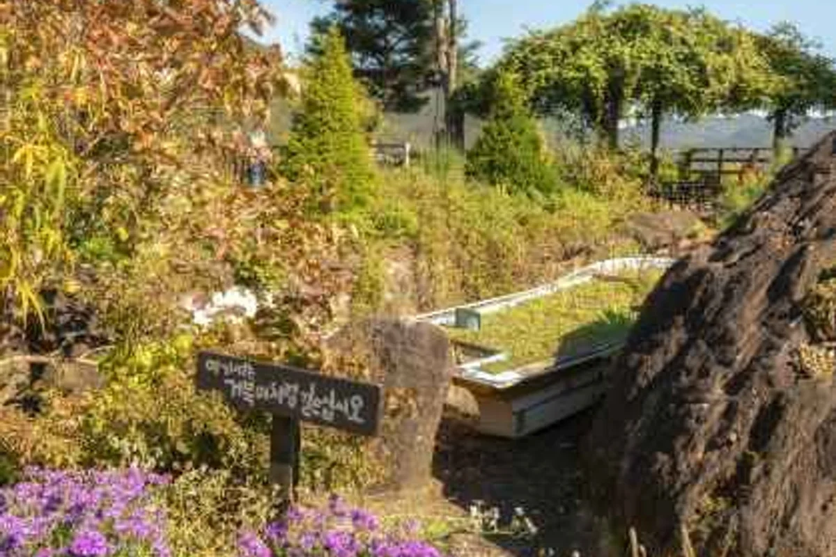 장령산 자연휴양림 - 옥천여행 여행