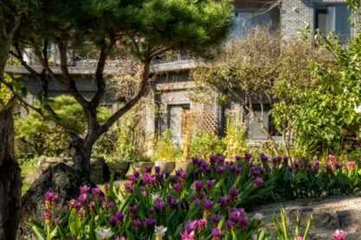 옥천향교 - 옥천여행 여행