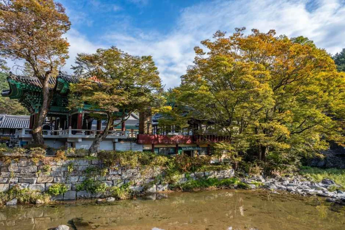 장승마을체험학습장 - 마곡사 여행