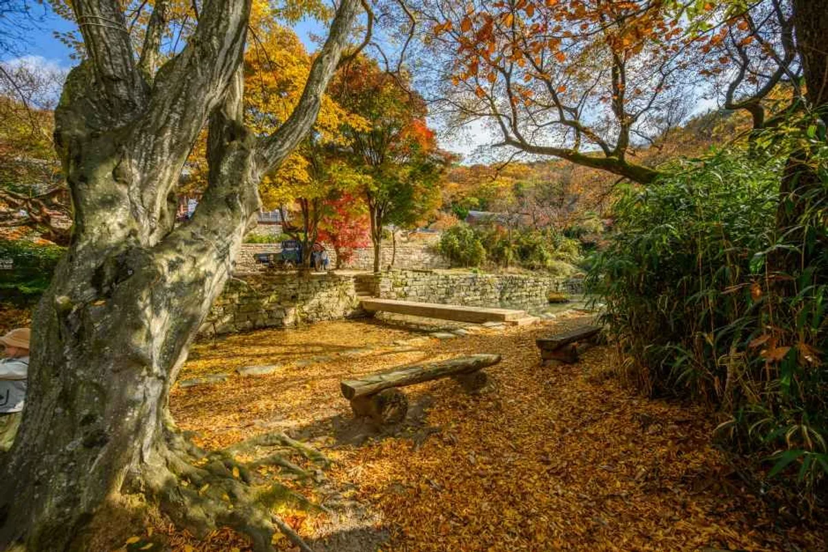 부춘산 전망대 - 서산여행 여행