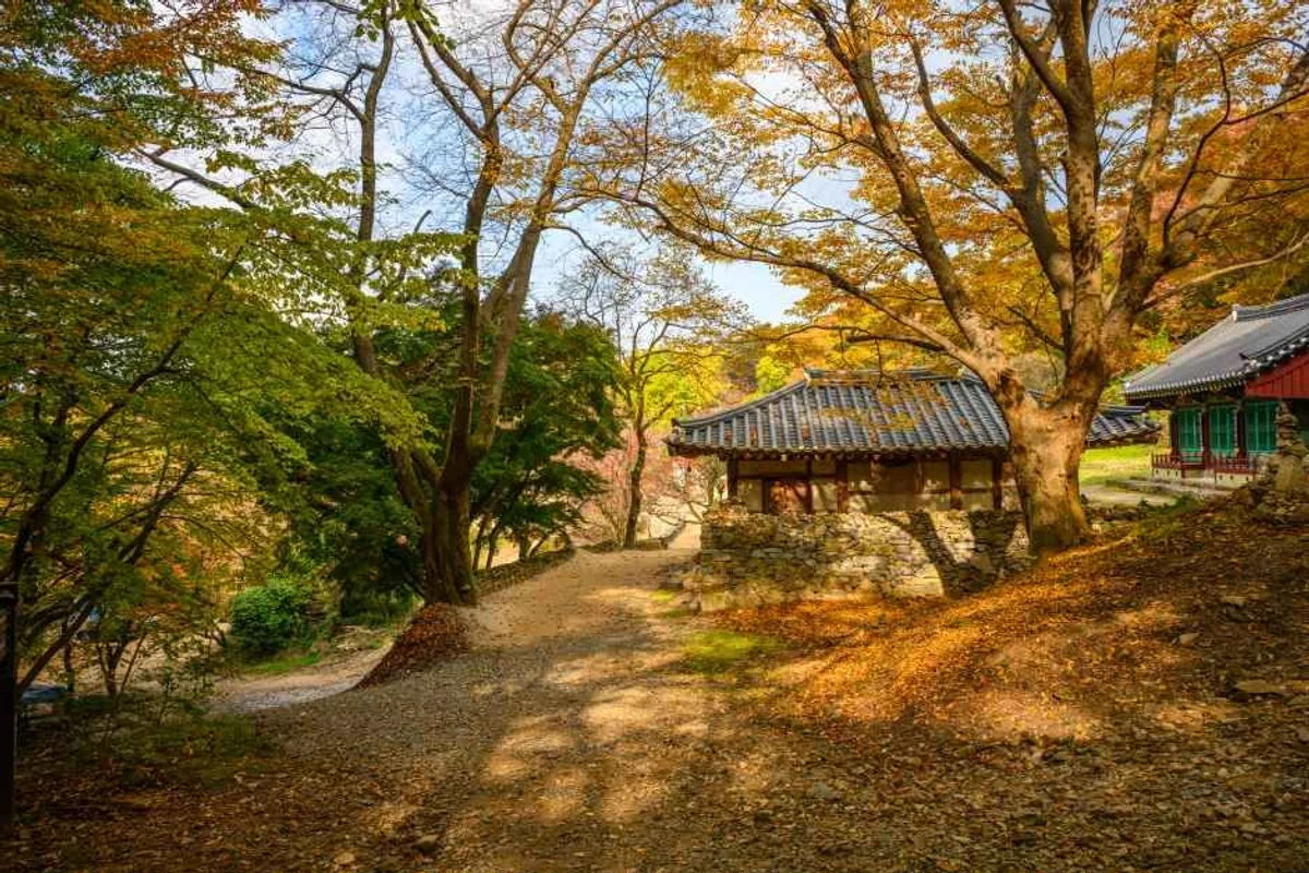 스핑크스타조농장 - 서산 여행