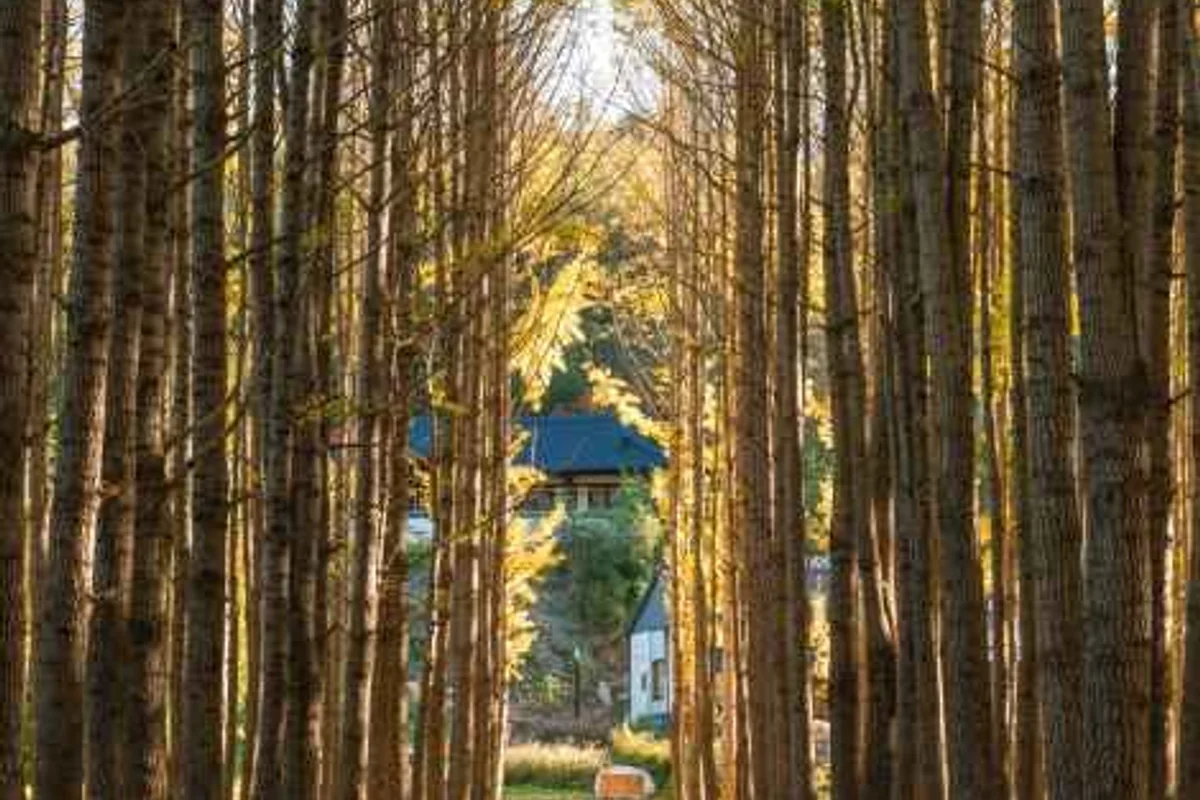 경주시 호텔 (출처 : 한국관광공사)