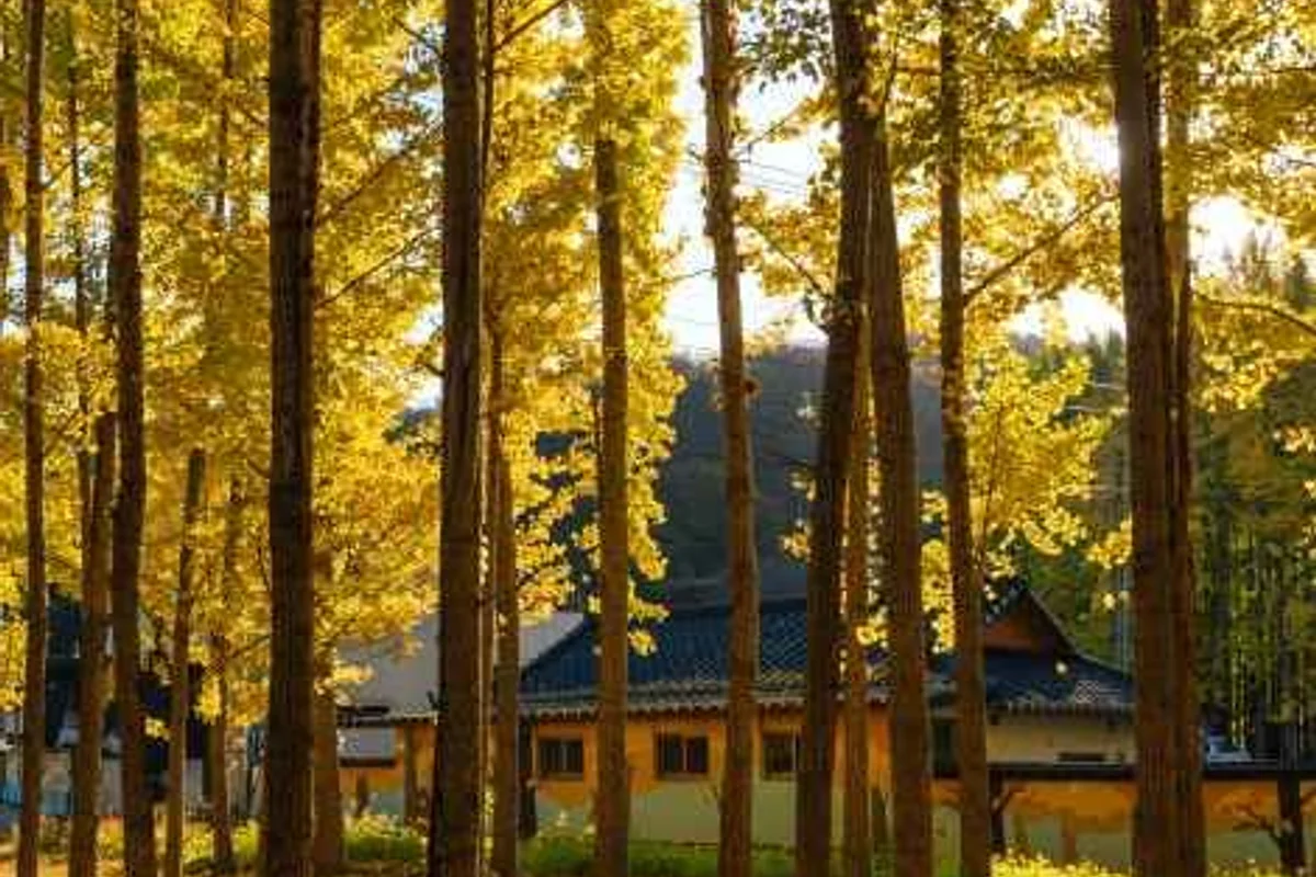 문무대왕릉 - 경주 여행