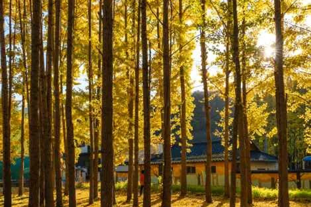 토함산 - 경주등산 여행