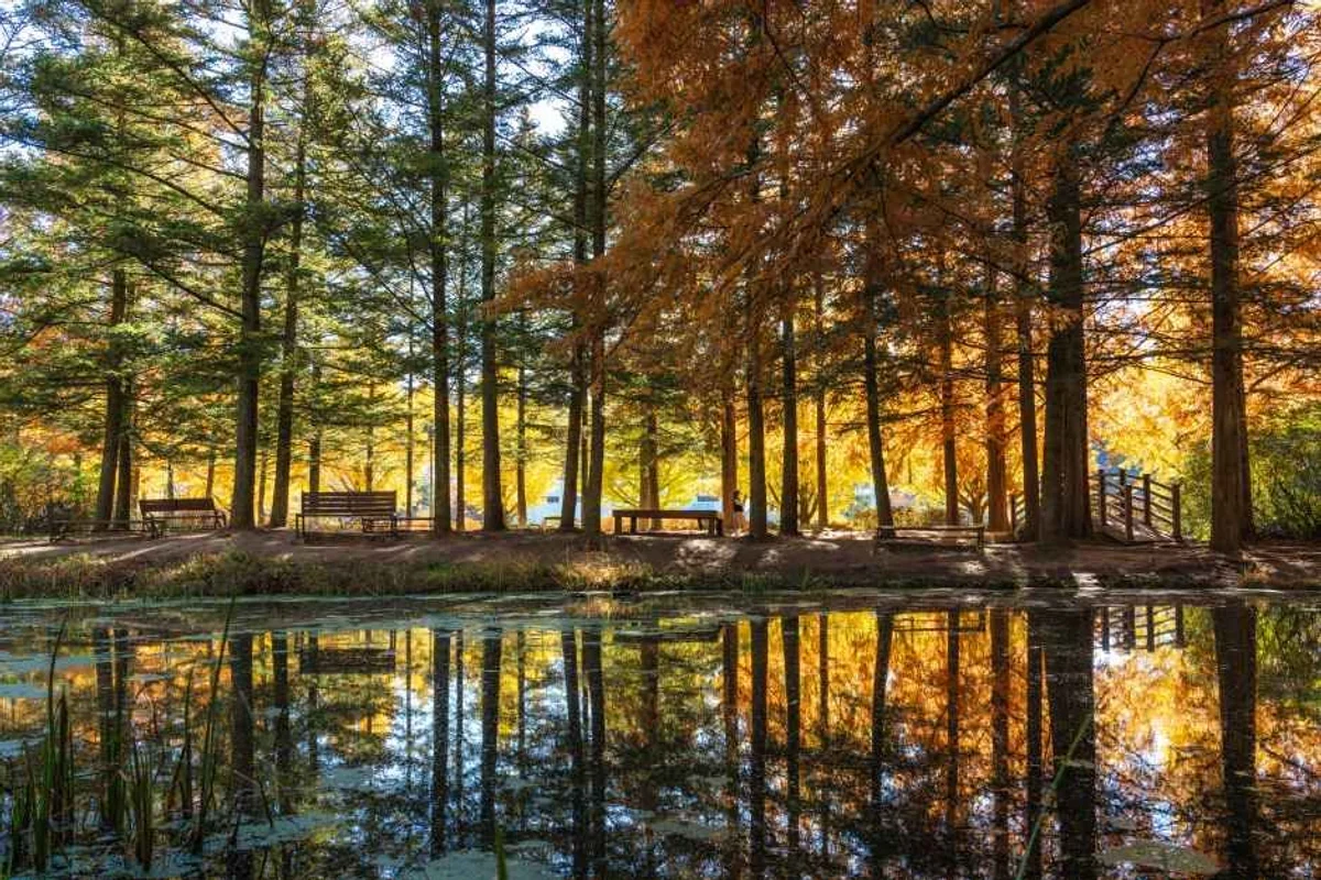 안동시 식물원 (출처 : 한국관광공사)