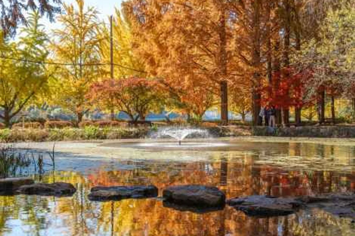 안동시농업기술센터 식물원 - 안동여행 여행