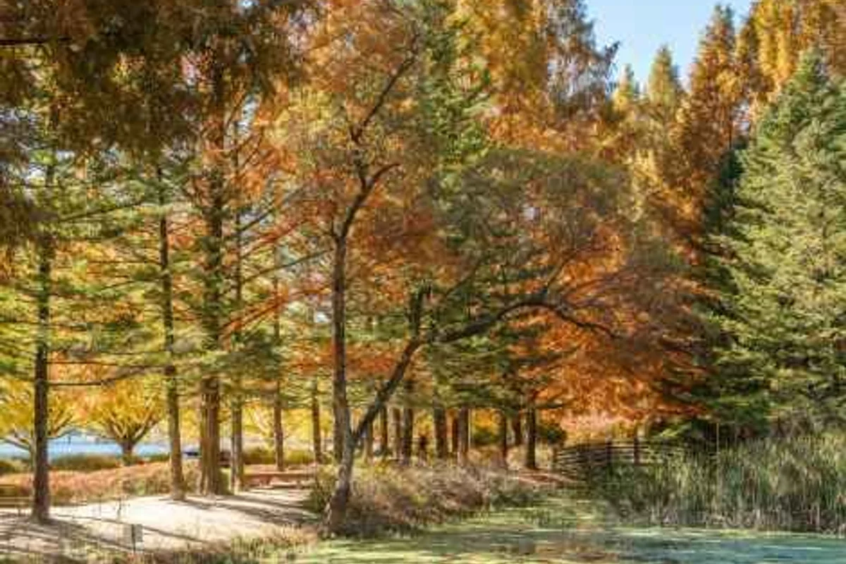 낙강물길공원 - 안동여행 여행