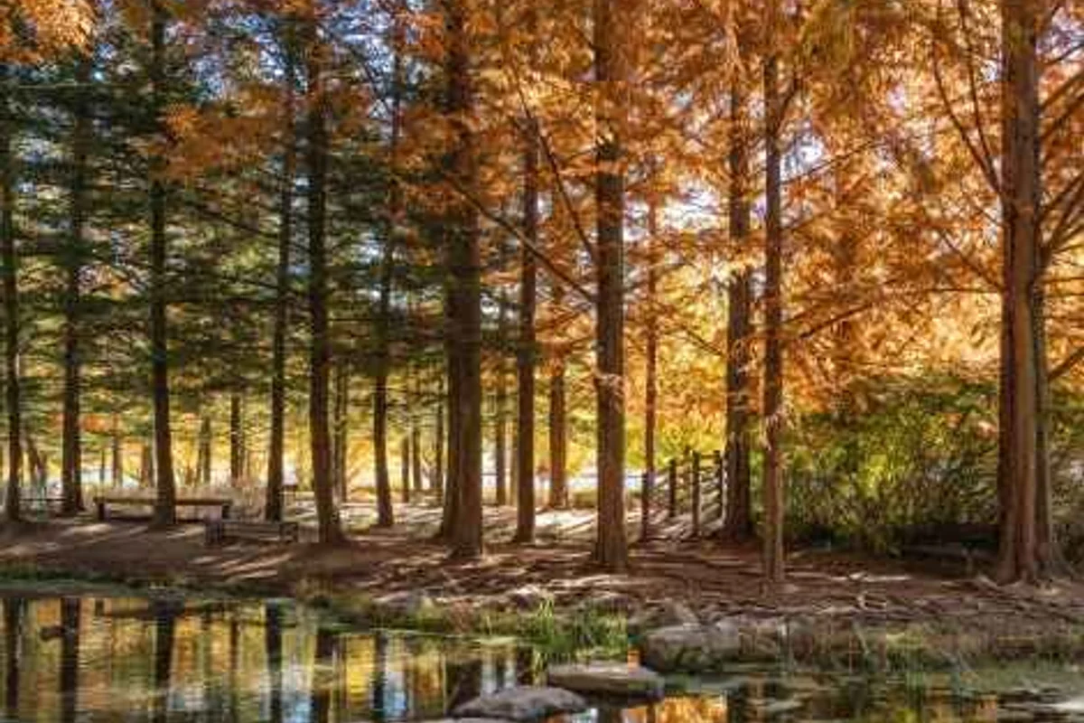 안동 산림과학박물관 - 안동여행 여행