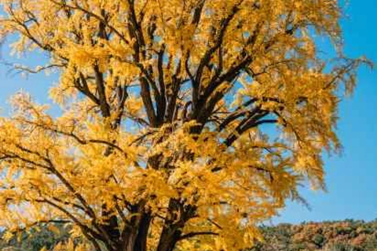 함안 전시 (출처 : 한국관광공사)