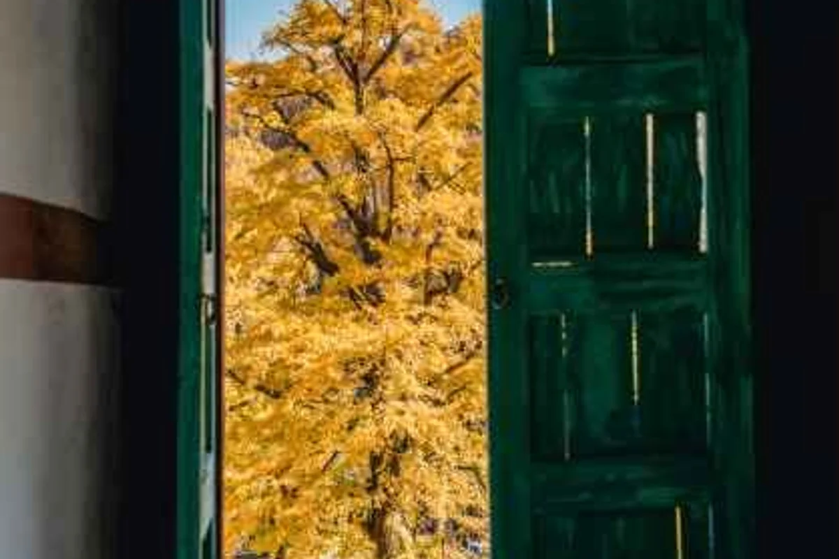 말이산 고분전시관 - 함안여행 여행