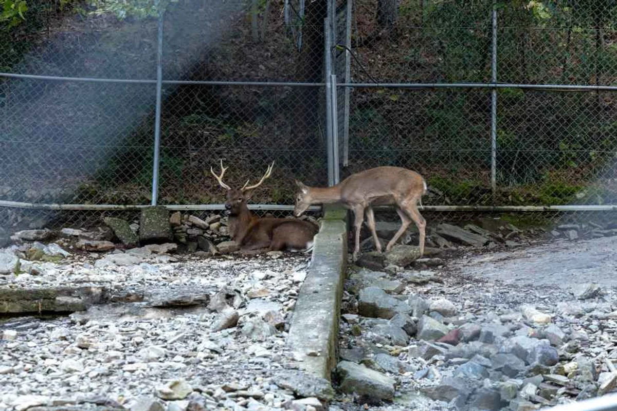 동 여행지 BEST 5 (출처 : 한국관광공사)