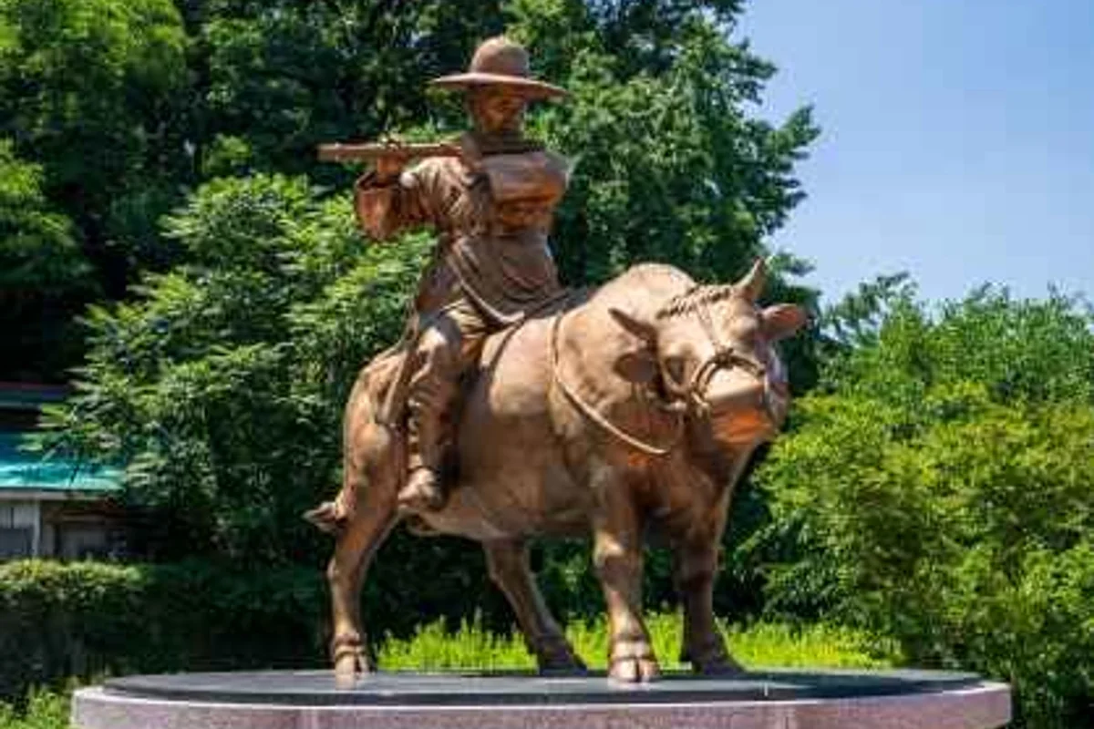 강릉 경포호 - 2026년봄여행 여행