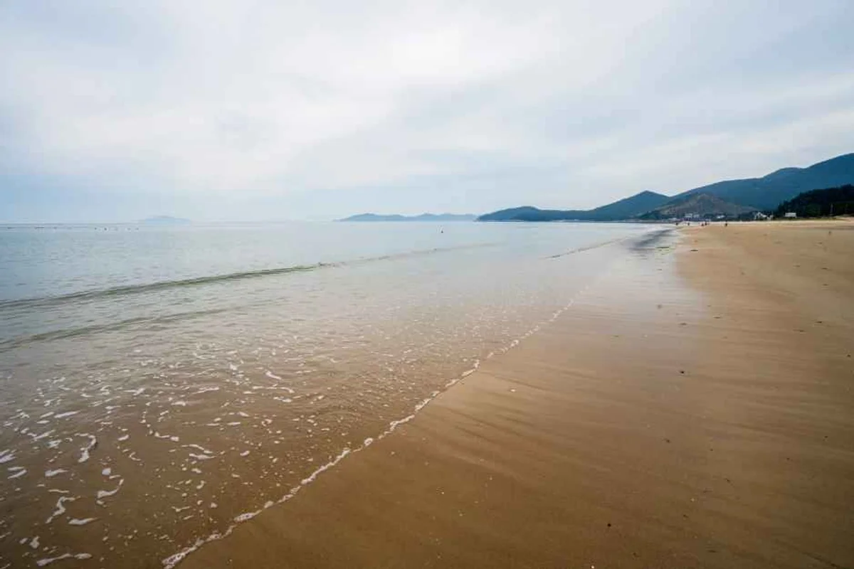 완도 청해진 유적 자전거길 - 완도 여행