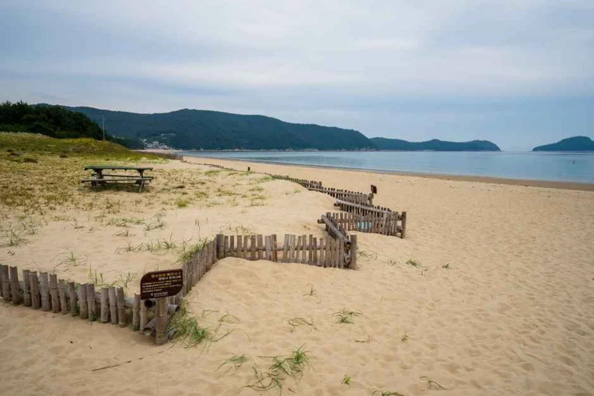 신흥사 완도 템플스테이 - 완도 여행