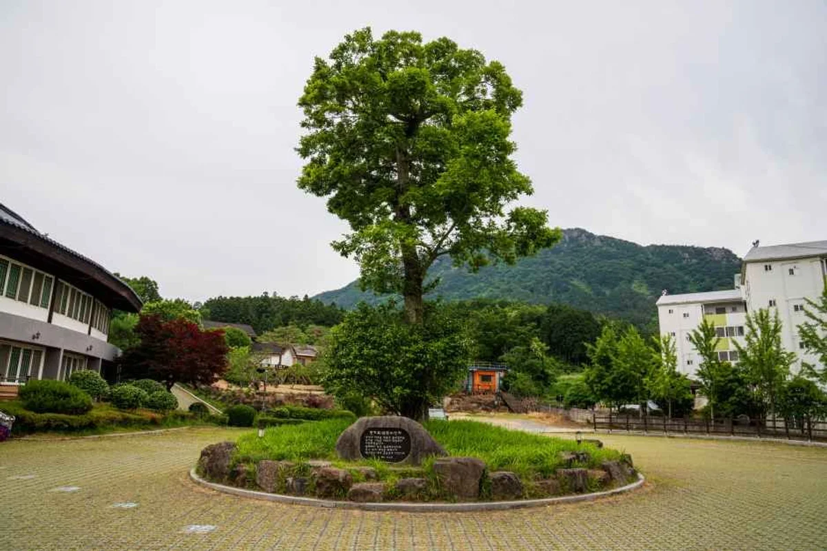 장흥 수상 레저 (출처 : 한국관광공사)