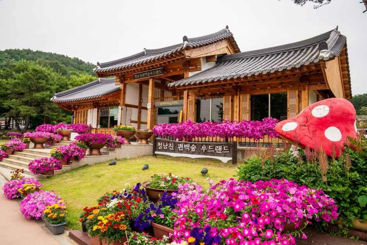 장흥군 산책, 봄날의 낭만을 찾아 - 장흥군 여행