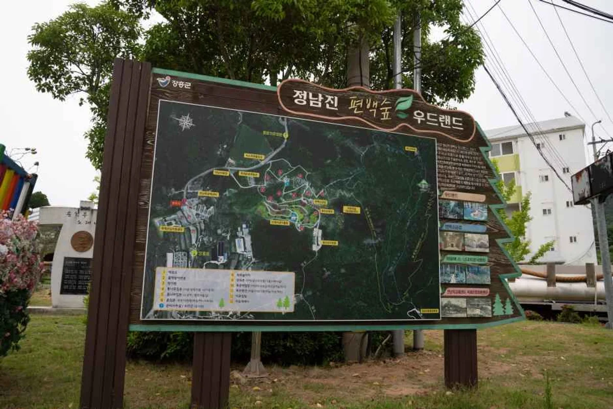 정남진 편백숲 우드랜드 - 장흥군 여행