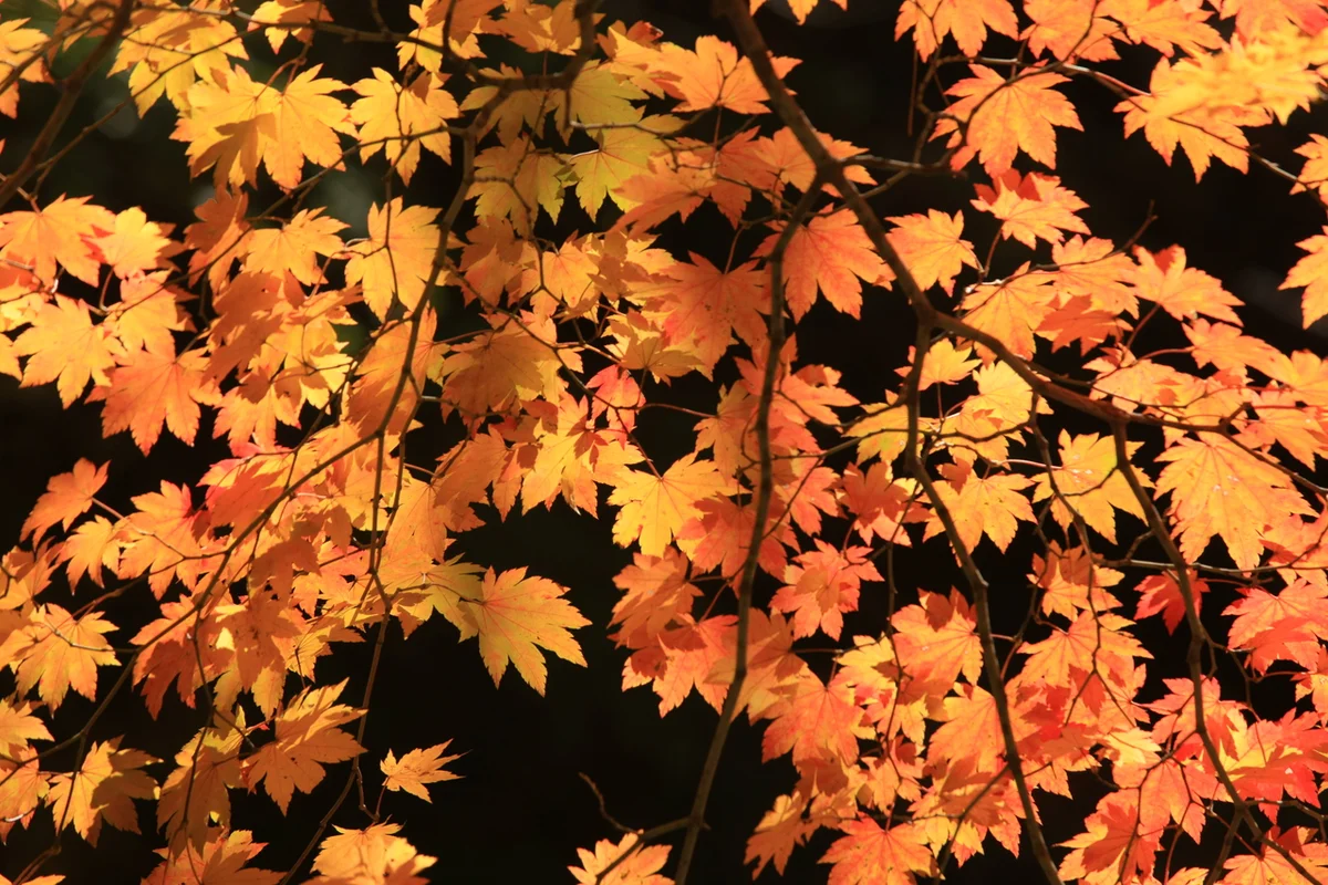주왕산국립공원: 아이와 가볼만한곳 - 주왕산 여행
