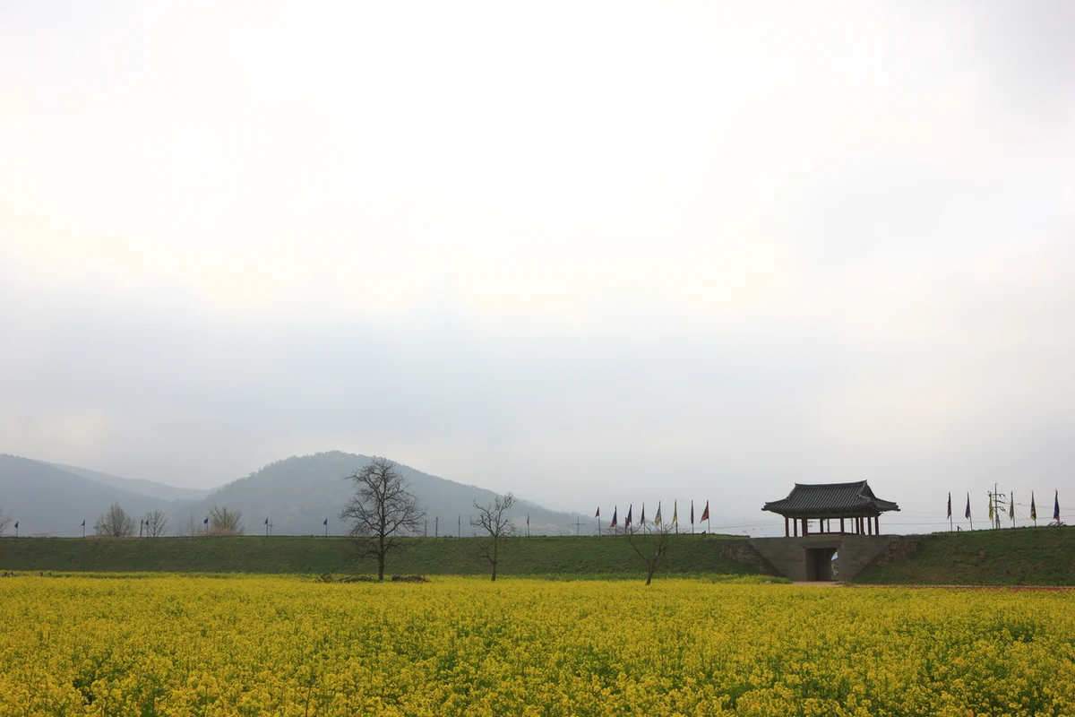 해미읍성 근처 숙소: 해미읍성역사캠핑장 - 서산여행 여행