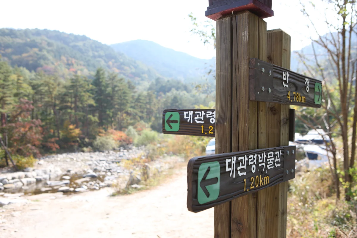 대관령박물관 - 대관령여행 여행