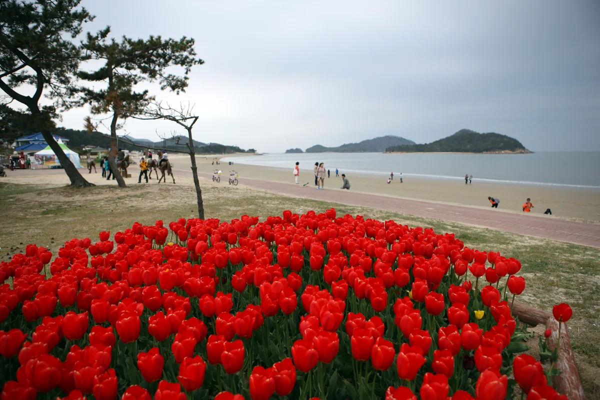 대광해수욕장 - 신안여행 여행