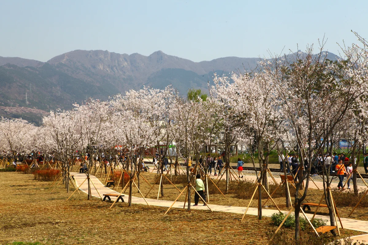 창원 MTB (출처 : 한국관광공사)