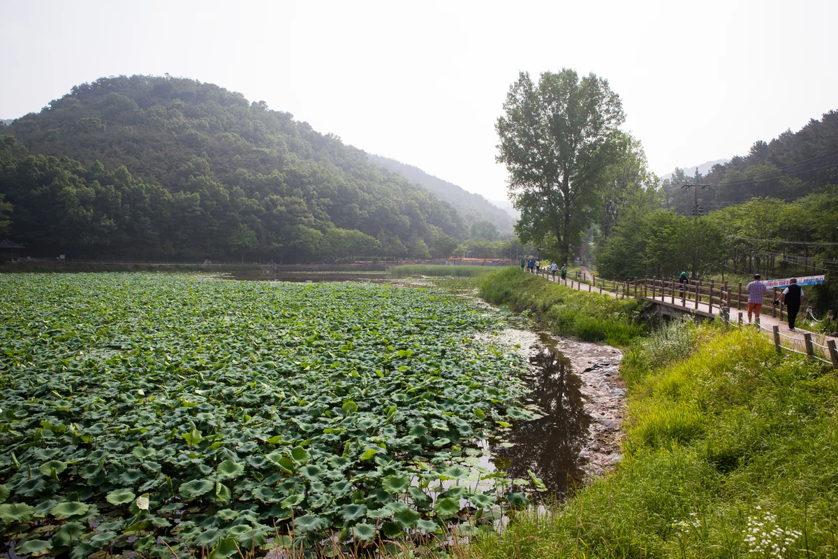 운암지 수변공원 - 대구 북구 여행