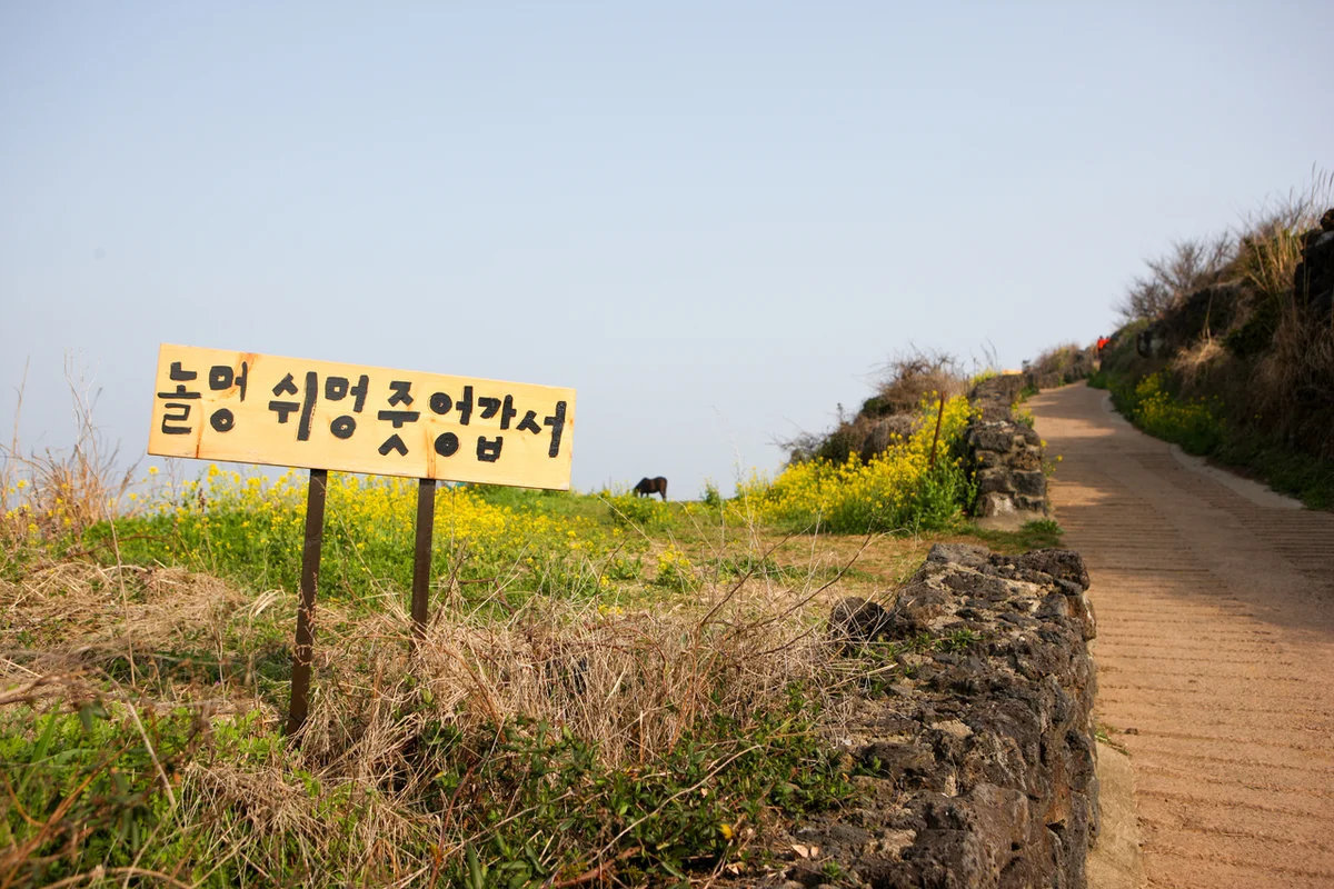 서우봉 둘레길 - 함덕둘레길 여행