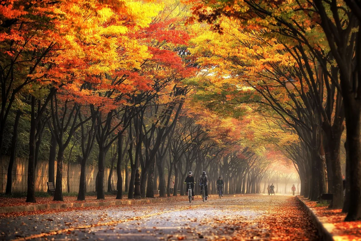 인천대공원 - 인천마닐라항공권 여행