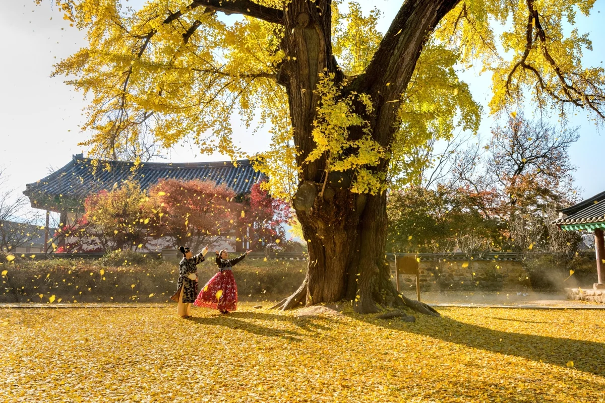 전주한옥레일바이크 - 전주 어린이날 여행