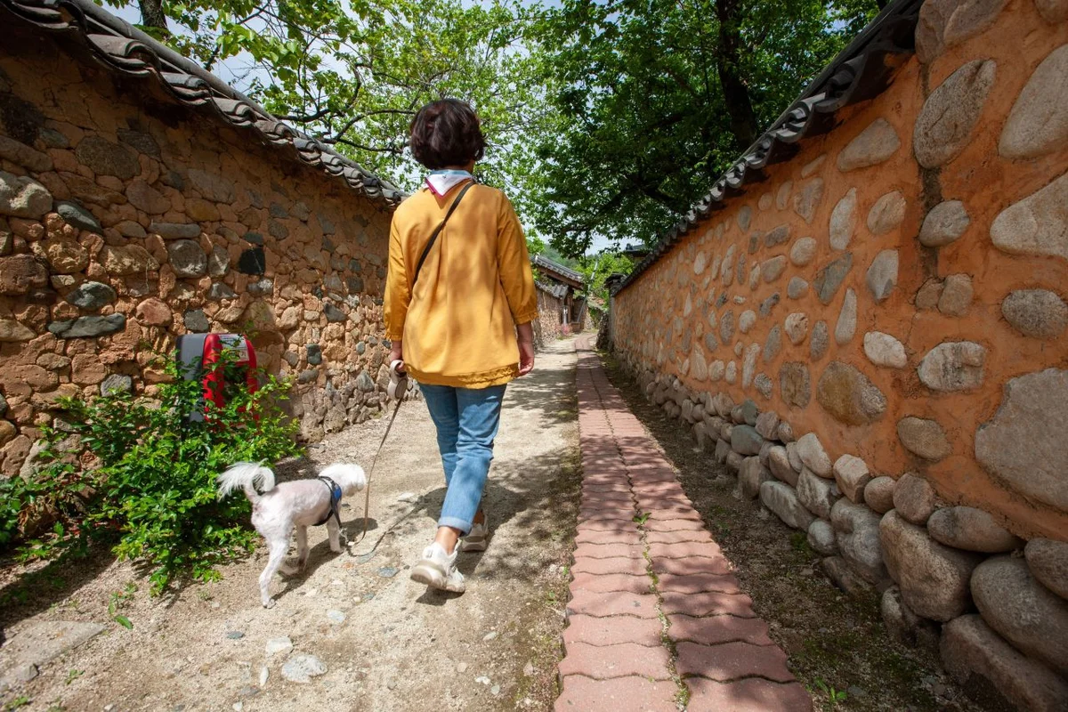 산청군 여행지 (출처 : 한국관광공사)