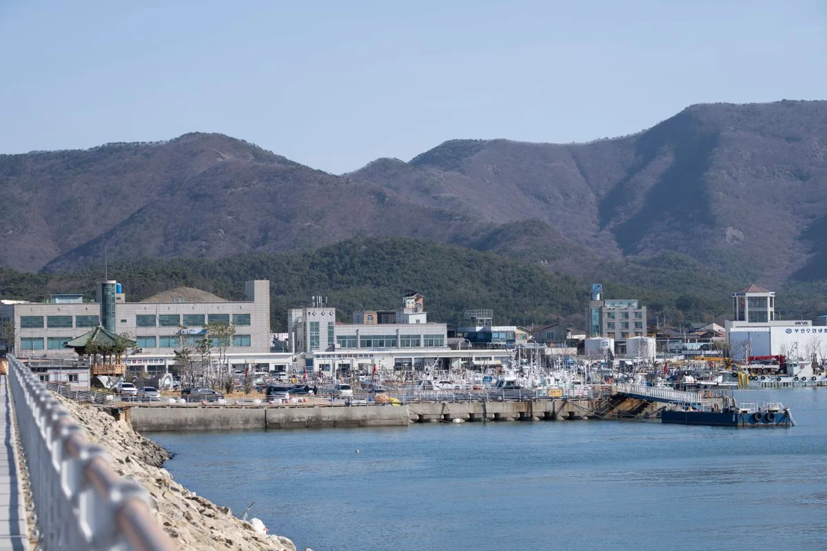국립변산자연휴양림 - 부안군 숙소 여행
