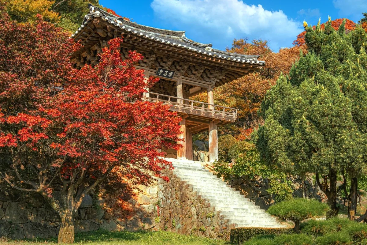 평촌중앙공원 - 안양 여행