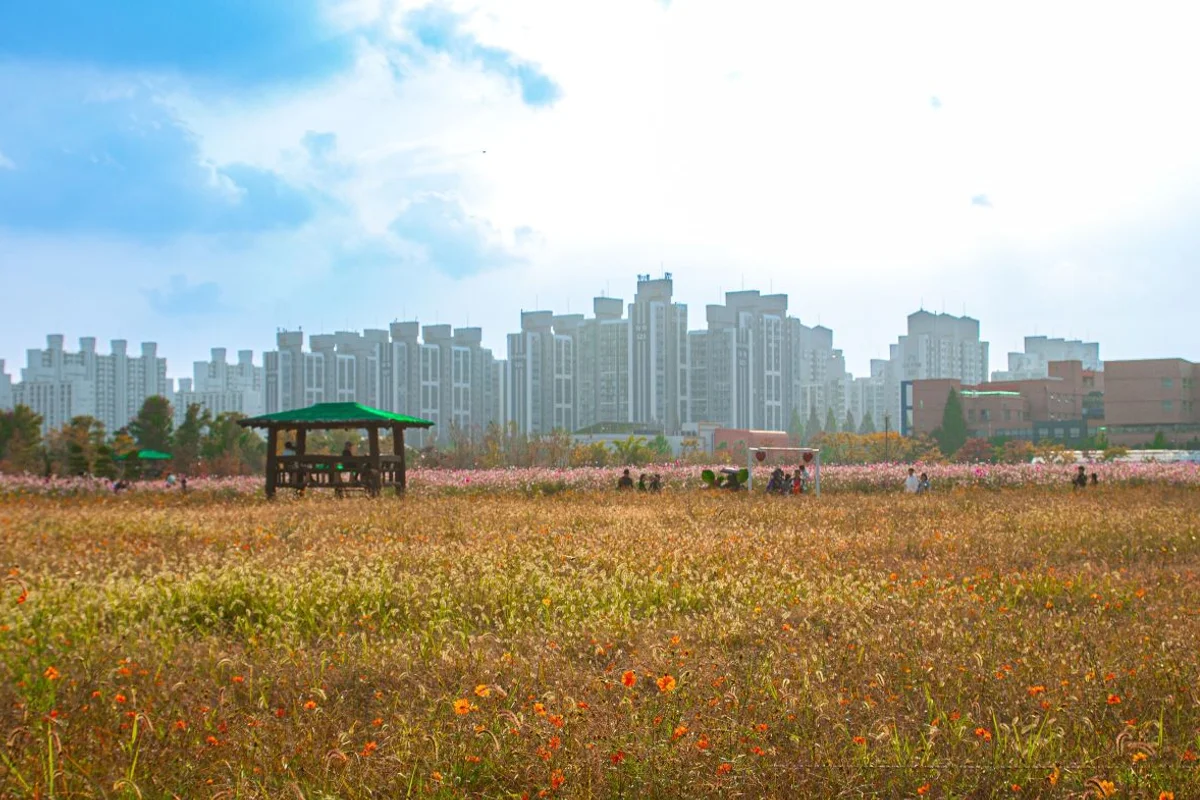 계양산 - 계양여행 여행