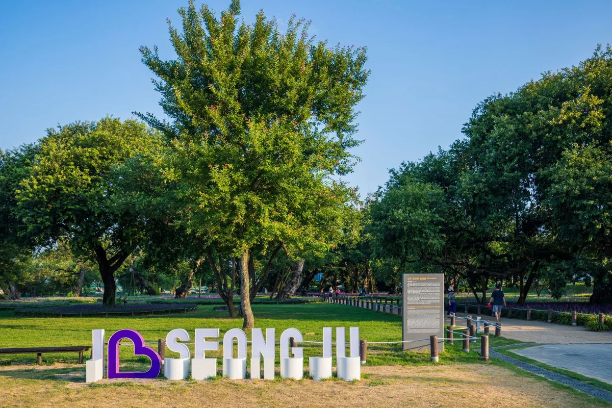 성밖숲 - 성주군여행 여행