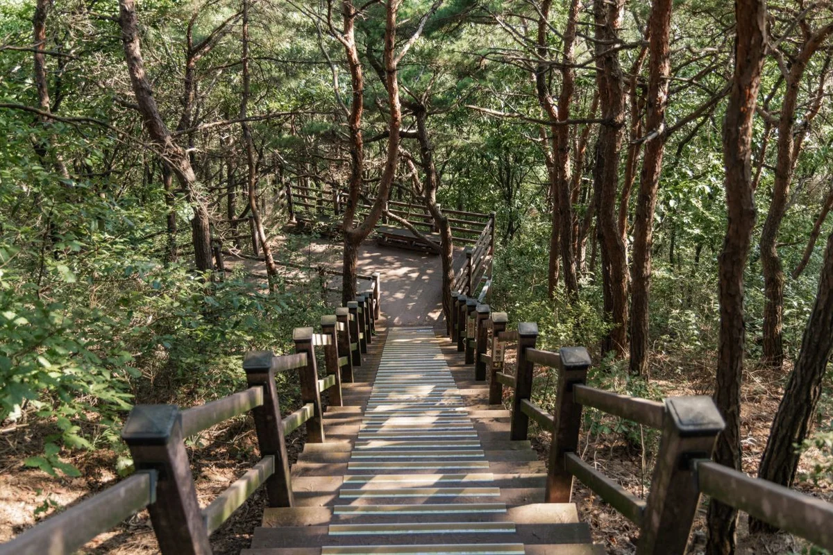 김포시 등산 코스: 문수산등산로1코스 - 김포 여행