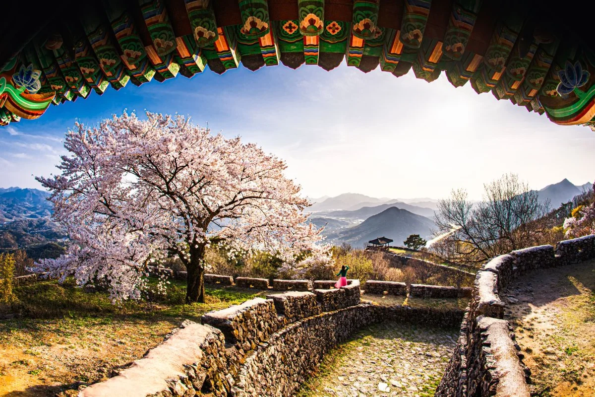 금성산 - 의성군등산 여행