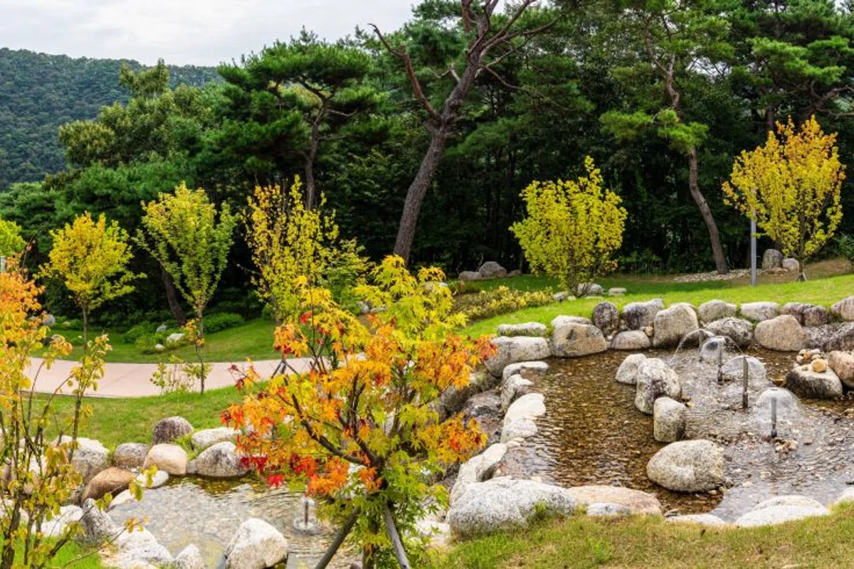 대청호 수국 명소 장계관광지 - 대청호 여행