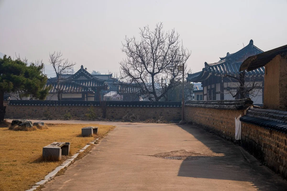 고운사 - 의성군등산 여행